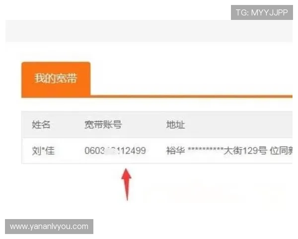 亚星注册登录账号密码设置技巧，提升账户安全性和使用体验
